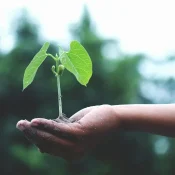 Safe-Toxin-Free-Product